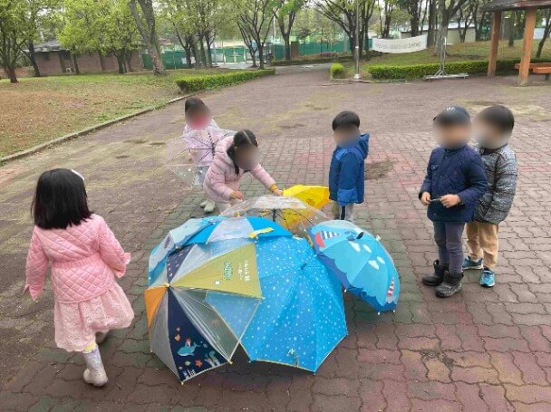 雨の日の散歩