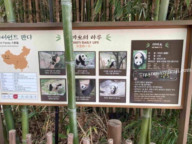 エバーランド・パンダ