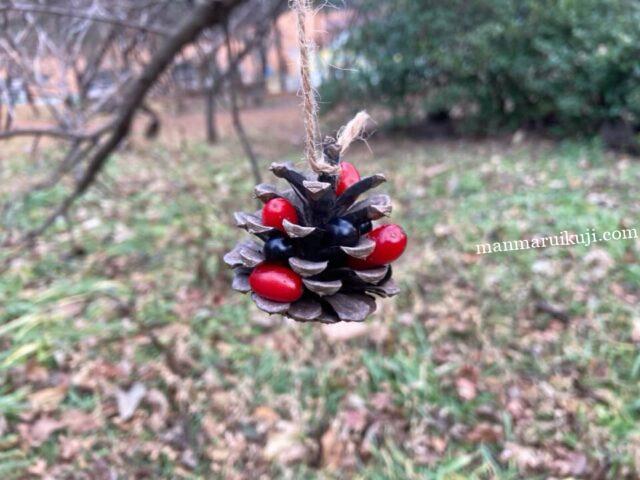 鳥のエサの木の実