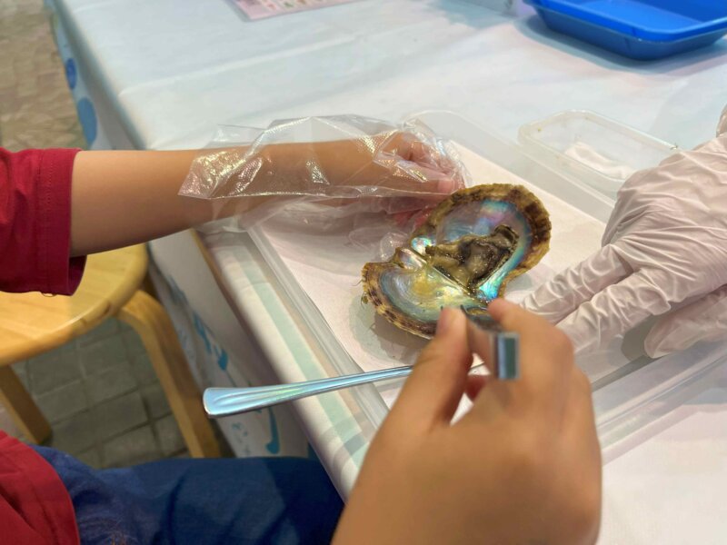 水族館・真珠取り出し体験