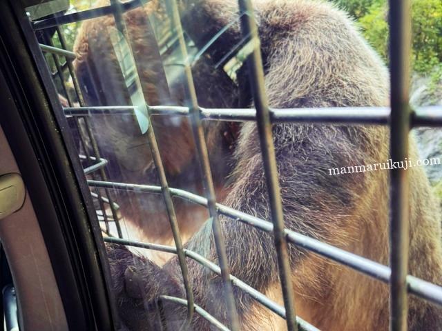 サファリワールドの有料ツアー