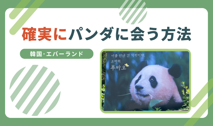 パンダに会う方法
