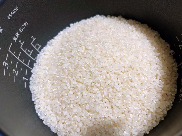 韓国のお米