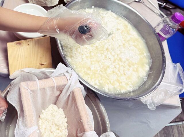 手作り豆腐体験の様子