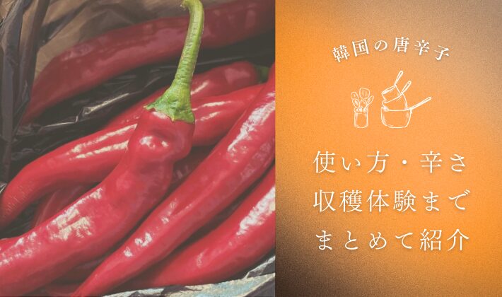 唐辛子の種類と収穫体験