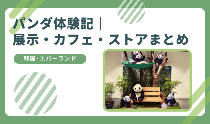 エバーランド・パンダ展示、カフェ、ストアまとめ