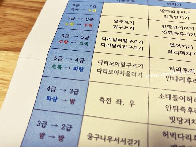 韓国の柔道教室の昇級表。帯の色がちゃんと色分けされていてわかりやすい