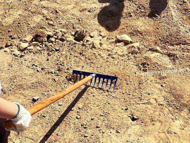 ソウル動物園で子どもと清掃ボランティア