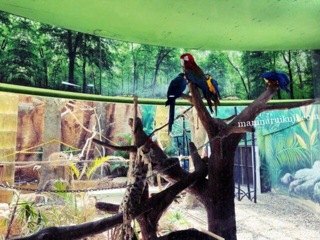 韓国ソウル大公園にあるソウル動物園