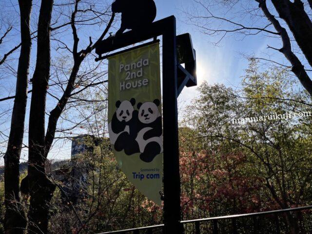 エバーランドのパンダワールド