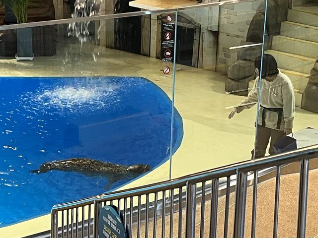 室内で行われるアシカショーの様子